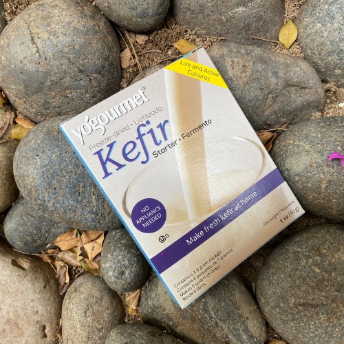 Men làm sữa chua Kefir yogourment 18gr