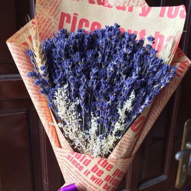 Bó hoa lavender thuần chủng gói đẹp tặng kèm túi xách giấy