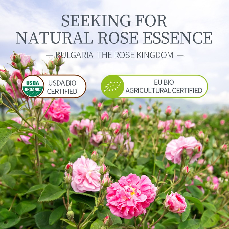 Toner, Nước hoa hồng Fenyi Rose Damask Hydrosol 300ml chiết xuất từ hoa hồng, hoa cúc | BigBuy360 - bigbuy360.vn
