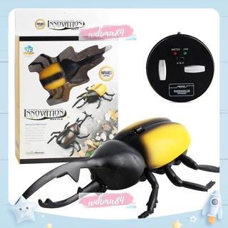 Đồ chơi BỌ ĐIỀU KHIỂN TỪ XA - No.9996 - anhma84 store - GIAO MÀU NGẪU NHIÊN