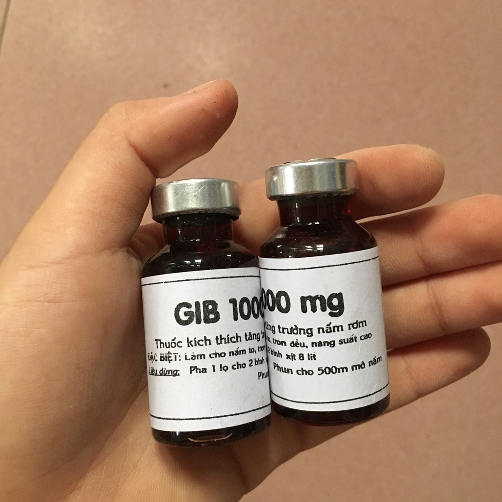 Bi dưỡng nấm rơm GIB 1000 8 Nha - Kích thích ra tơ nấm, giúp nấm mọc nhiều, tăng trưởng mạnh, tăng năng suất