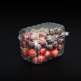 combo 50cái hộp Pet đựng trái cây nhập khẩu các cỡ ( có đục lỗ )