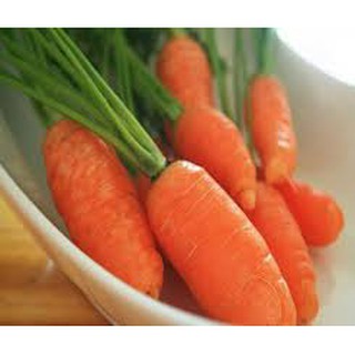 Hạt giống cà rốt 200 hạt