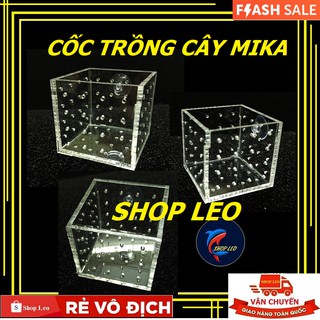 Cốc trồng cây bằng mika - Cốc đựng phân nền mica - Hồ thủy sinh - bể cá cảnh