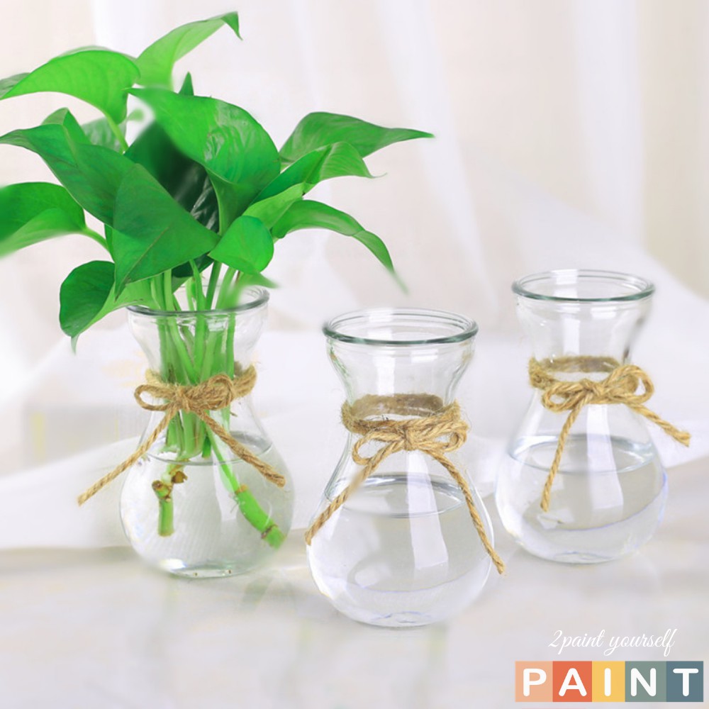 Lọ hoa thủy tinh trong trồng cây thủy sinh, bình hoa Decor