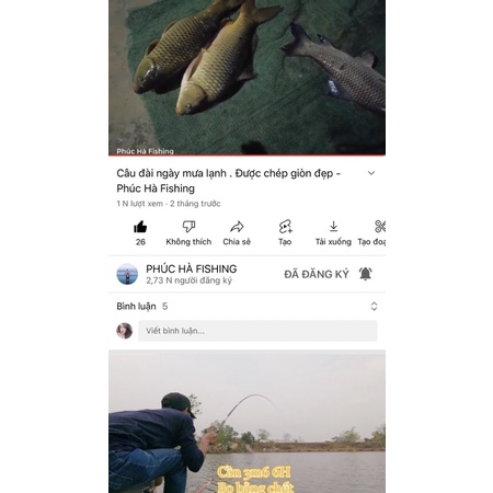 Cốt đường đen Phúc Hà fishing chai 350ml