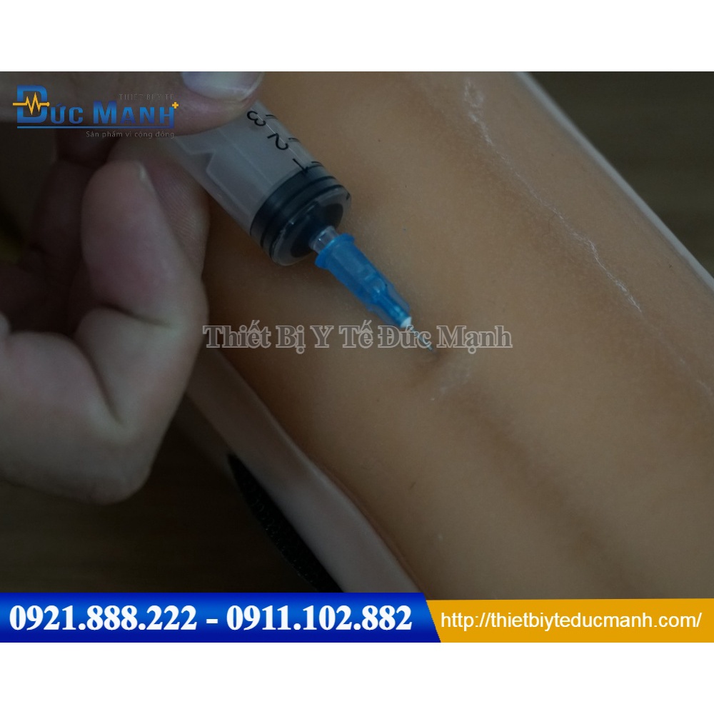 Mô hình thực hành tiêm truyền tĩnh mạch