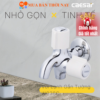 Vòi sen tắm CAESAR W038C lạnh, Vòi hoa sen 1 đường nước, Cam kết chính hãng