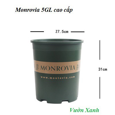 Chậu Monrovia chuyên dùng trồng hoa hồng, cây cảnh 5GL