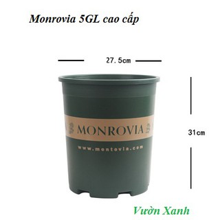 5GL- Chậu Monrovia (VUI LÒNG ĐẶT ĐƠN TỪ 2 CHIẾC) chuyên dùng trồng hoa hồng, cây cảnh