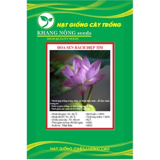 Hạt giống hoa sen bách diệp tím kns3456 - gói 5 hạt