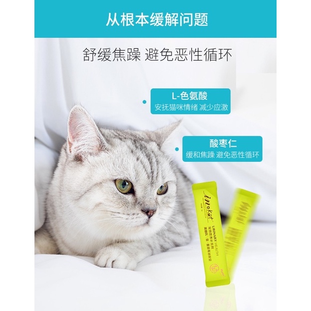 Bổ thận InKat Vitamin cho mèo chiết xuất việt quất hỗ trợ tiết niệu ngừa sỏi thận IN09