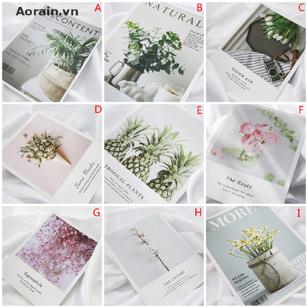 Bộ 9 Phông Nền Chụp Ảnh studio Chất Lượng Cao