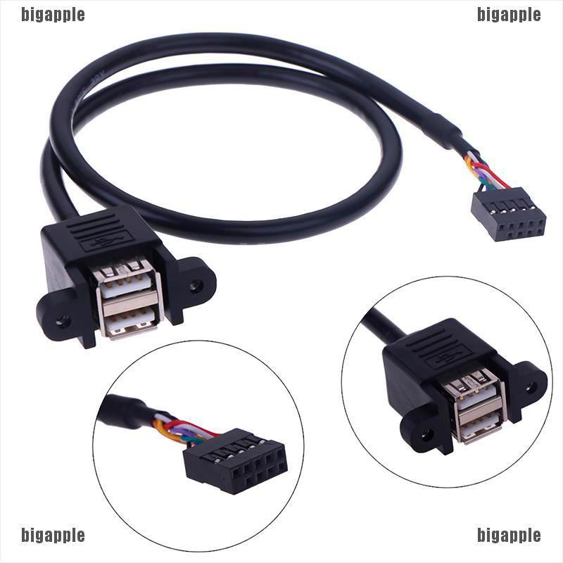 Dây cáp nối dài chuyển đổi cổng 9 pin sang 2 cổng USB 2.0 chuyên dụng đa năng