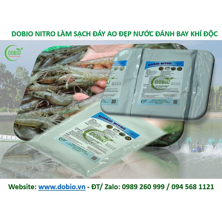 DOBIO NITRO CHẾ PHẨM SINH HỌC MEN VI SINH XỬ LÝ LÀM SẠCH ĐÁY AO NUÔI TÔM CÁ TỐT NHẤT GÓI 500G