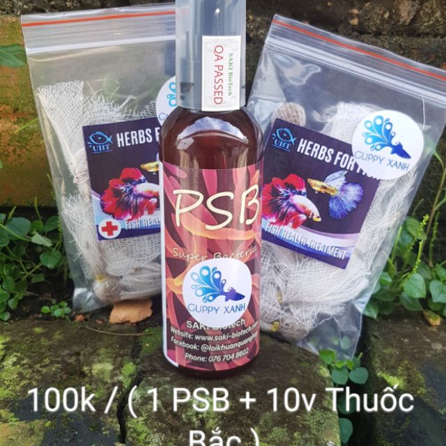 Combo vi khuẩn quang hợp và thần dược cá cảnh