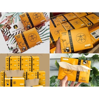 giấy ăn gấu trúc sipao
