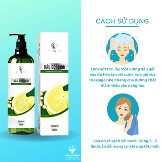 COMBO DẦU GỘI BƯỞI CRD