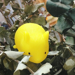 squishy chuột hamster