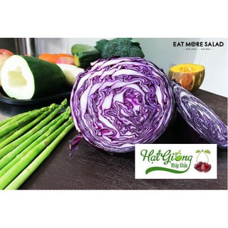 Gói 40 hạt giống bắp cải tím LINH NGOC