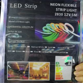 Led neon 12v 5m