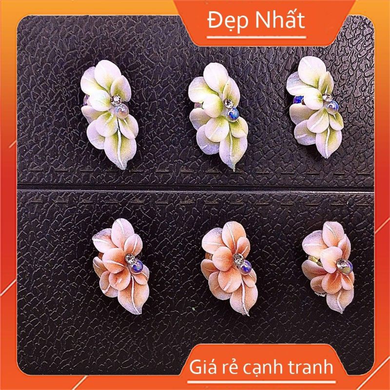 hoa bột nail ôm đá