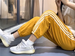Quần kaki 3 sọc