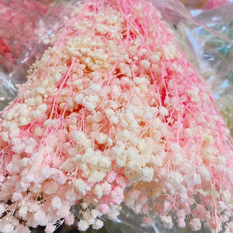 Hoa Baby Bloom trắng tinh khôi Gypsophila hoa khô trang trí phòng