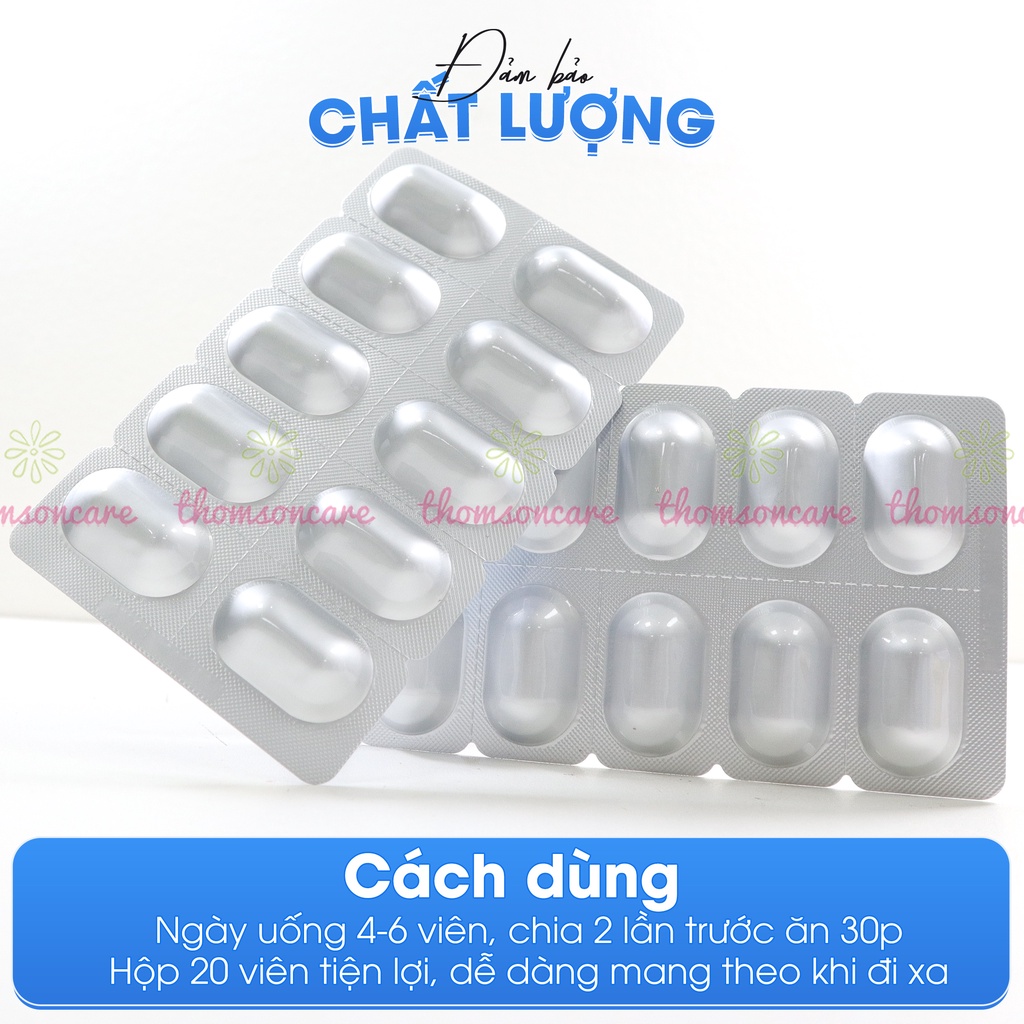 Bảo phế vương Hộp 20 viên Hỗ trợ giảm ho có đờm, phế quản từ thảo dược