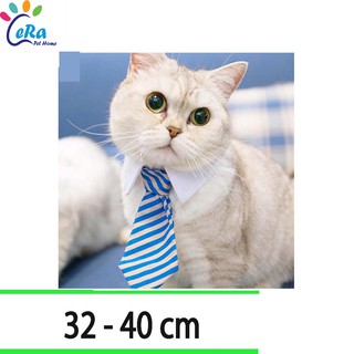 Cà Vạt Cho Chó Mèo - Phụ Kiện Chó Mèo (Khách chọn mẫu lưu ý để lại ghi chú)