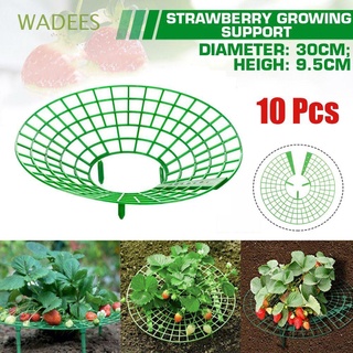 Bộ 10 khung đỡ hỗ trợ trồng dâu tây chống thối rữa tiện lợi