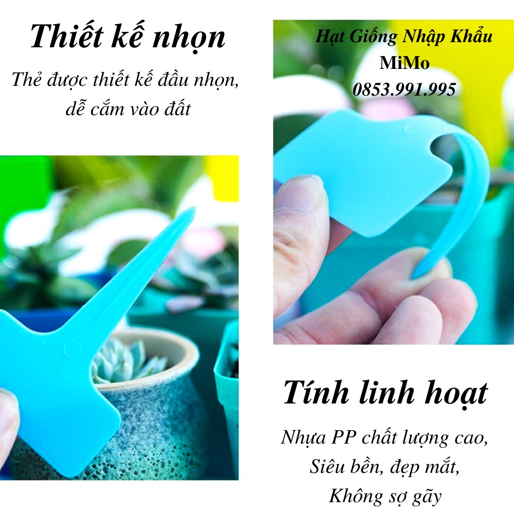 Thẻ ghi tên cây trồng - Đánh dấu thông tin và trang trí cây trồng, decor sân vườn