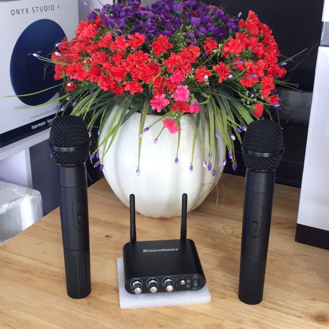 Mic karaoke k38