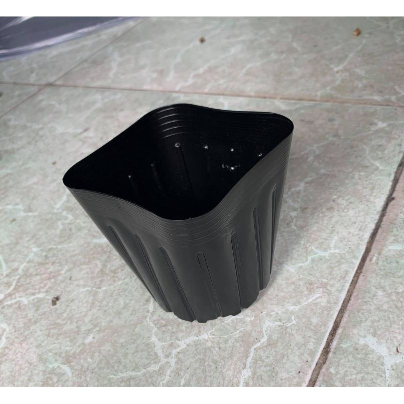10 Chậu nhựa dẻo màu đen ươm cây 9cm-chh