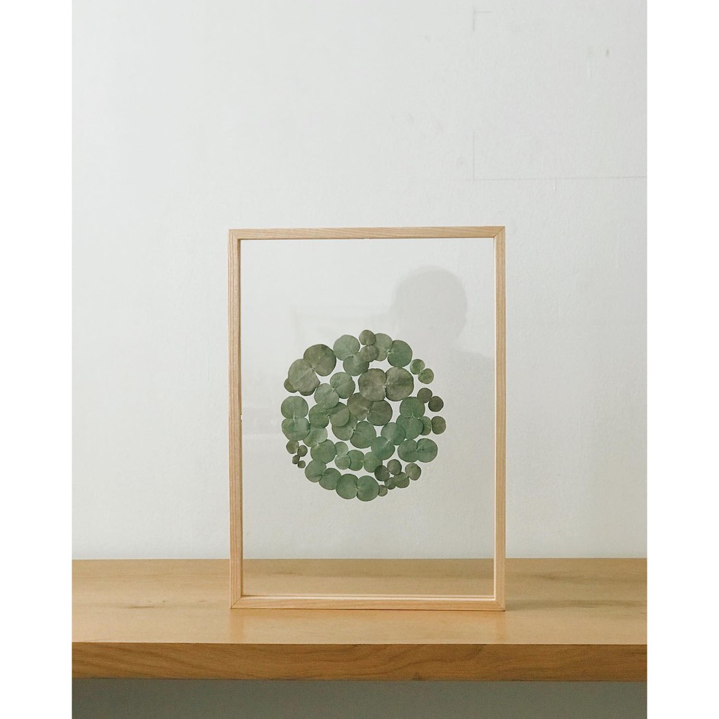 Khung ảnh gỗ để bàn size A4, A5 FEGO/ trang trí lá ép nghệ thuật | BigBuy360 - bigbuy360.vn