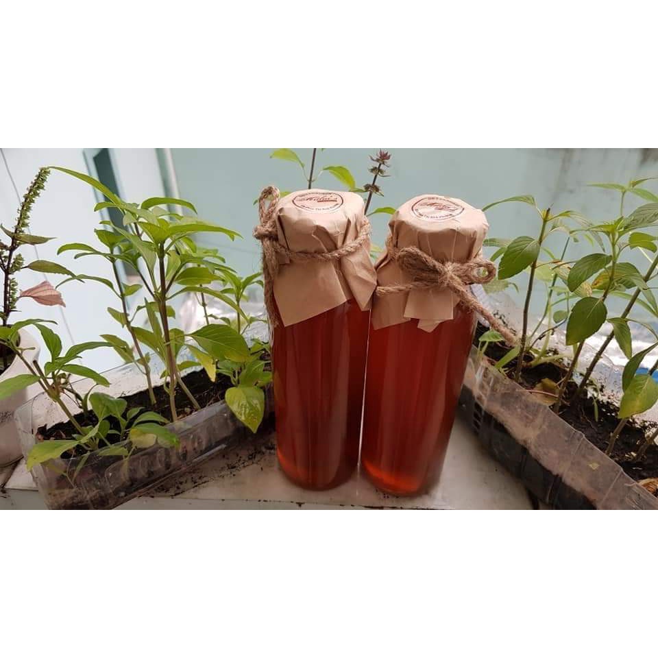 Mật Ong Hoa Cà Phê Nguyên Chất Daklak, Hàng Chuẩn 100%