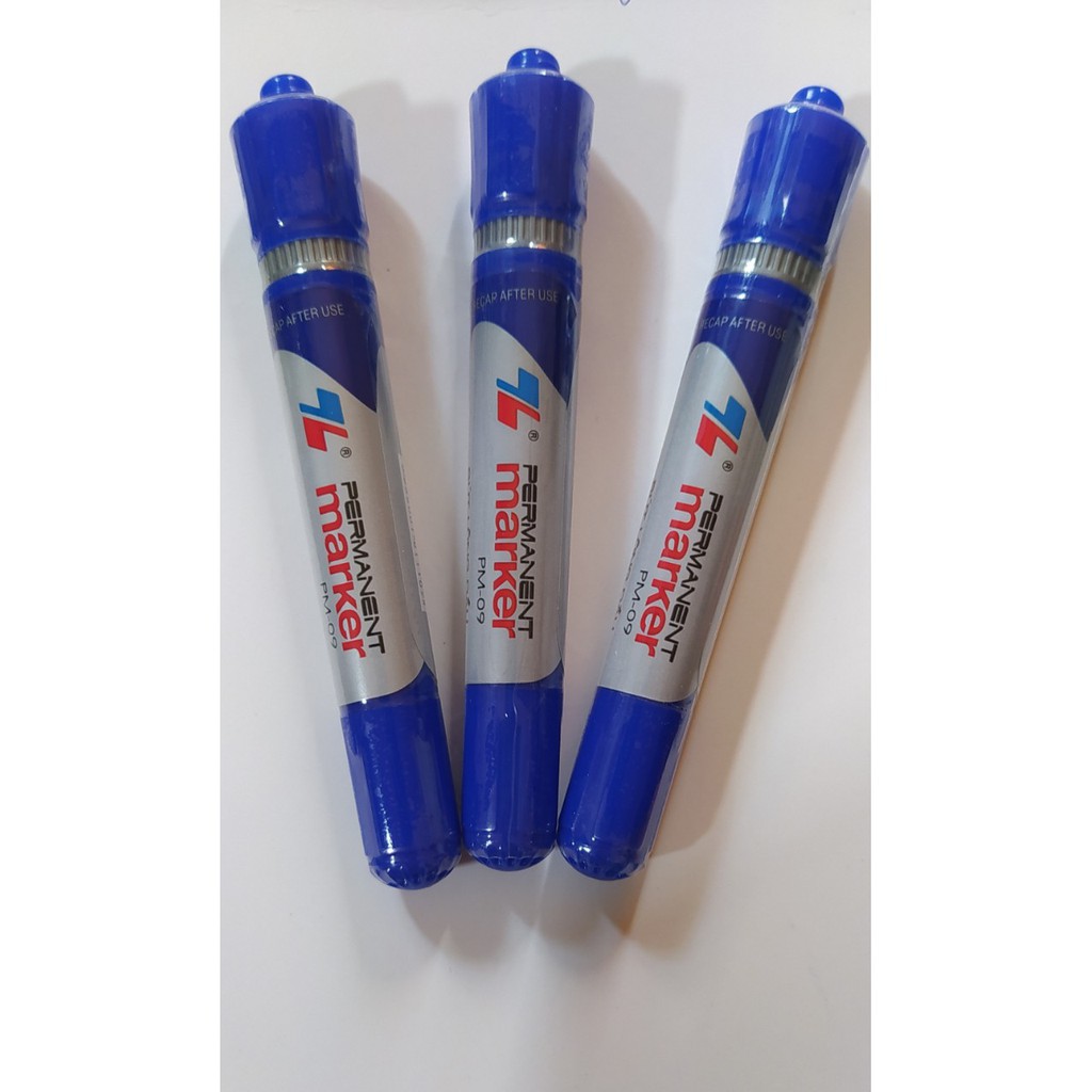 Hộp 10 bút lông dầu PM09