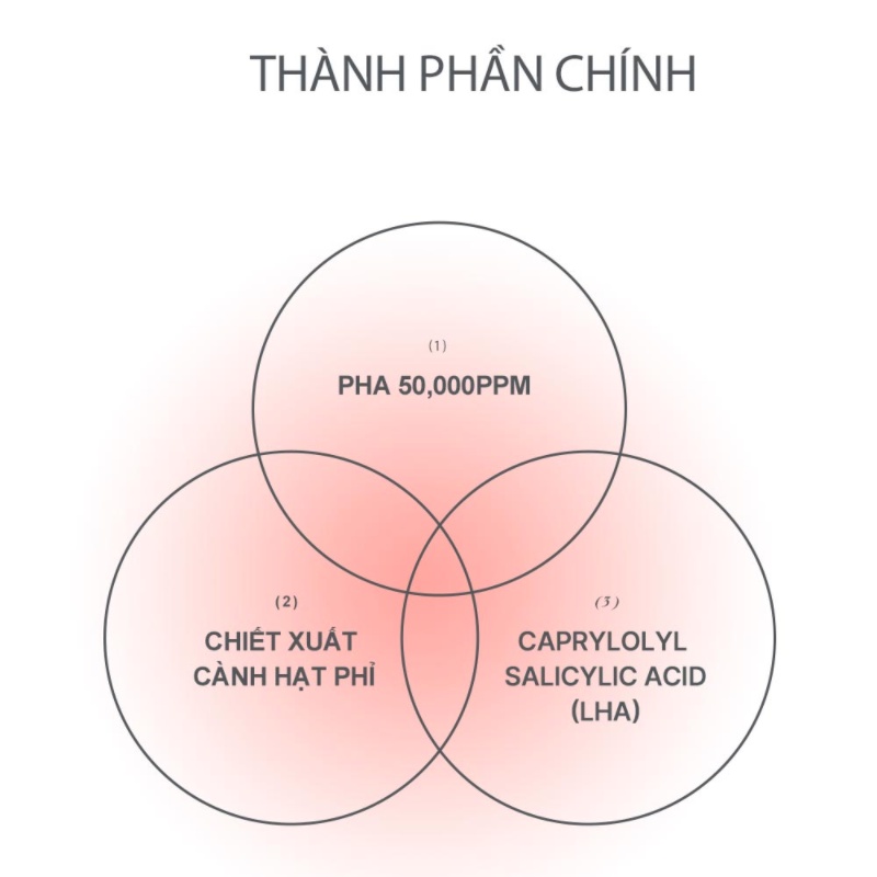 Toner Tái Tạo Da SNP LAB PHA 5 Toner Chứa 5% PHA 150ml