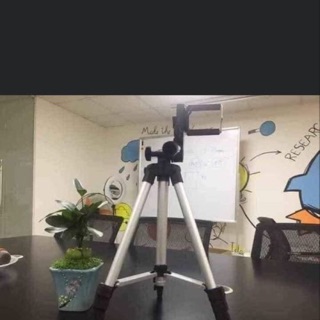 Gậy livestream