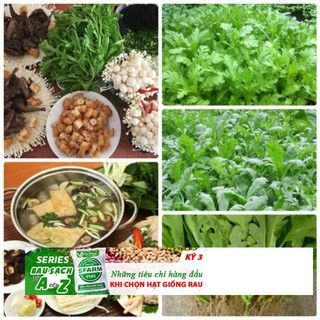 Hạt giống rau cải cúc Tẻ - 50 HẠT TÁCH GÓI TRỒNG THÙNG XỐP