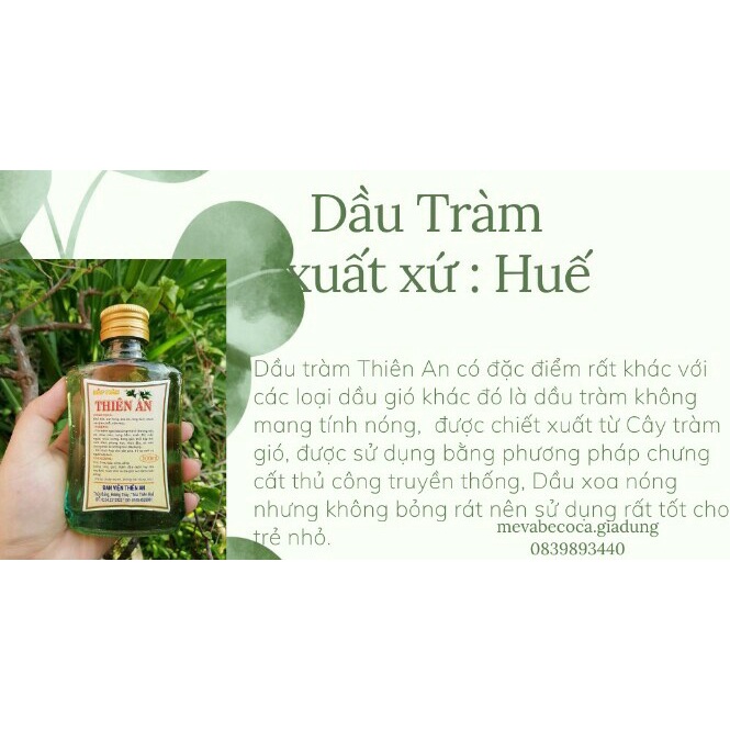 Dầu tràm huế - dầu tràm Đan Viện Thiên An Huế - 100 ml. Dầu tràm Thiên An. Dầu tràm Huế. Dầu tràm cho bé