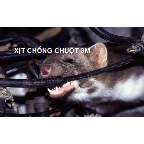 Chai Xịt Phủ Chống Chuột Xe Hơi 3M Rodent Repellant Coating 89797