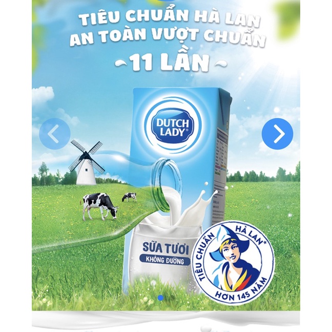SỮA CÔ GÁI HÀ LAN CÓ ĐƯỜNG-110ml