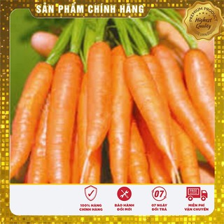 Hạt Giống Cà Rốt Mini Hạt giống cà rốt tí hon