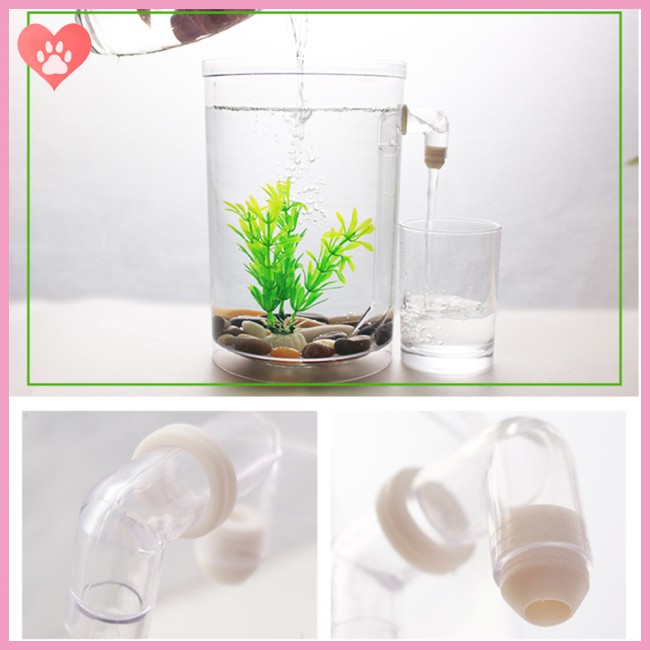 Ecological Fish  Bowl Slacker Desktop Case Self-cleaning Aquarium Mini Fish