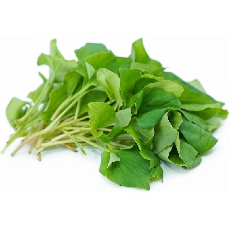 Hạt giống rau diếp cá - gói 20 hạt