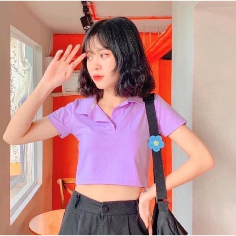 Tặng Áo crotop polo màu tím và màu xanh giá 35k