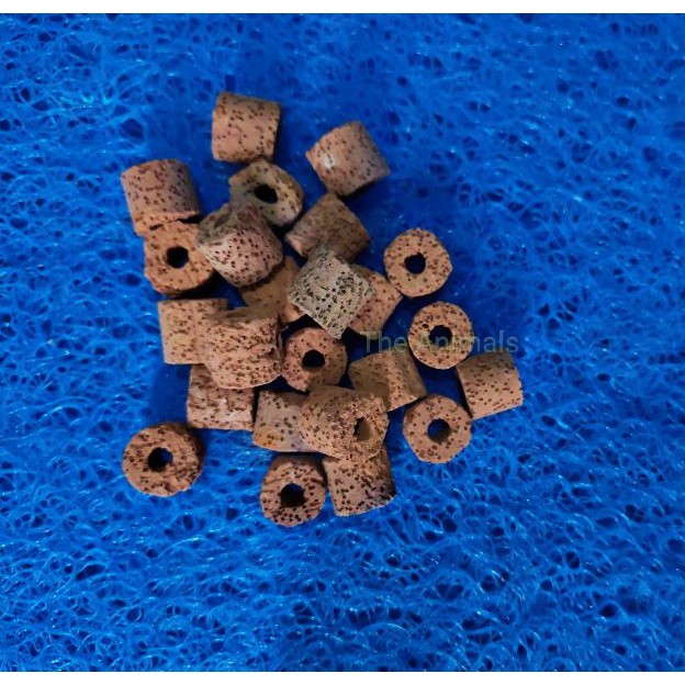 Viên sứ đỏ lọc nước cho hồ cá - Lọc tràn- Vật liệu lọc