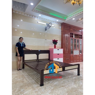 Giường sắt hộp kiểu gỗ Đại Thành 1m6 - Mẫu 03