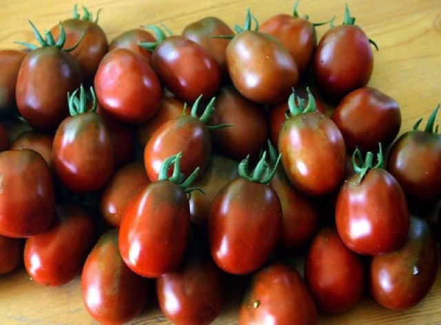 Hạt giống cà chua socola plum